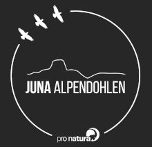 Juna Alpendohlen logo